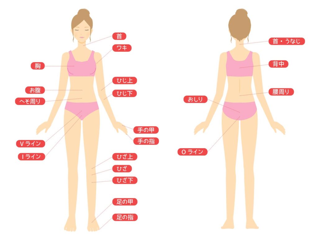 脱毛・除毛する部位
