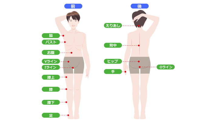 メンズ体の部位